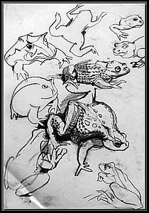 frogs.jpg